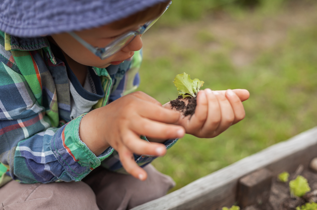 Waldorf Education